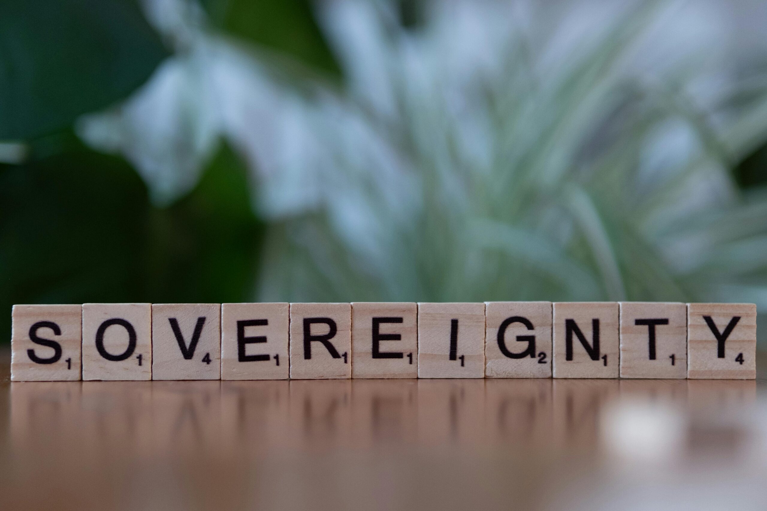 napis sovereignty z drewnianych tabliczek