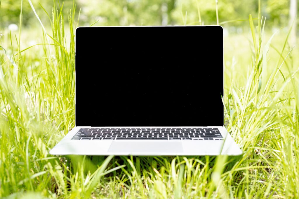 laptop na trawie
